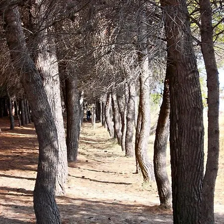 Turistici Di Gabriele 20 Mt Dal Mare