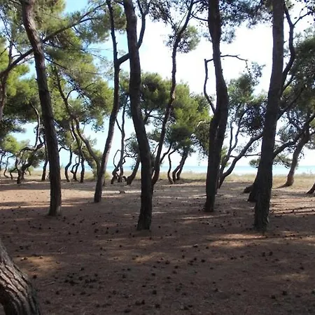 Turistici Di Gabriele 20 Mt Dal Mare Апартаменты *